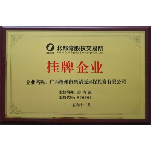 碧清源成功掛牌北部灣股權交易所