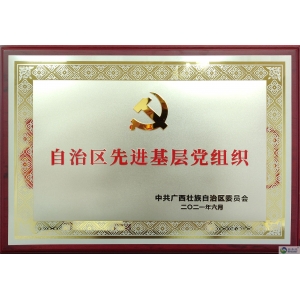 我司黨支部榮獲得“自治區先進基層黨組織”稱號